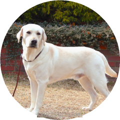 ウィリアム⑥ 20240212